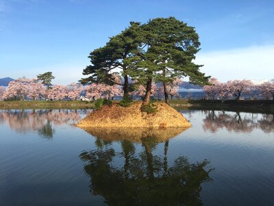 Park lake island