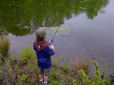Fisherman nature water