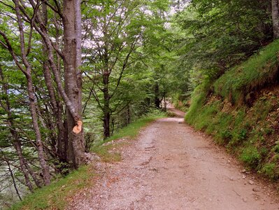 Walk veneto italy