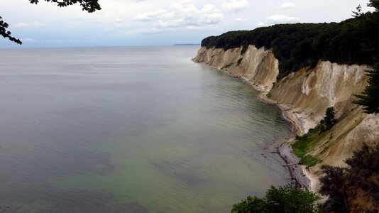 Rügen sassnitz trees photo