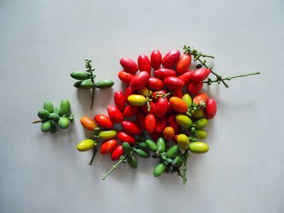 Tropical asian
