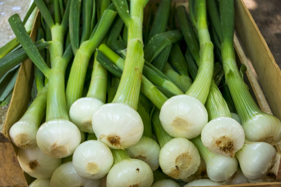 Fresh market food