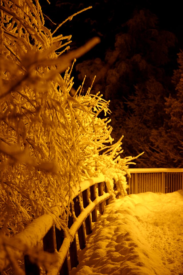 Outdoor snow snowy