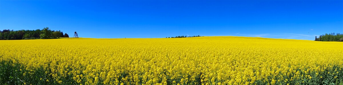 Sky blue landscape
