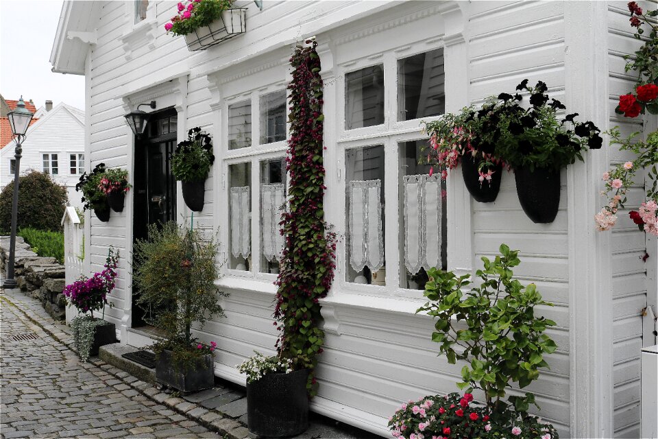 House architecture street art