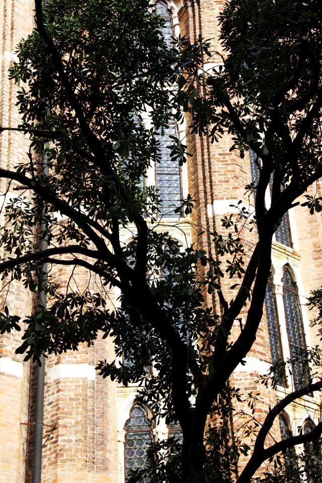 Tree church shadow