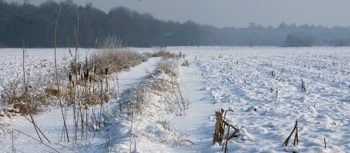 Snow winter landscape helvoirt