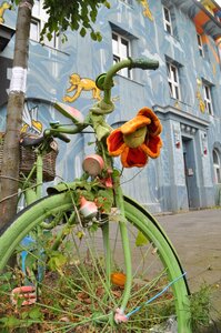 Street art graffiti bike