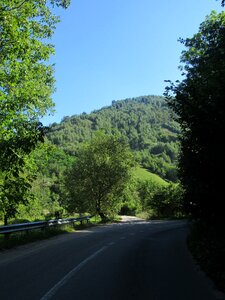 Transylvania crisana romania photo