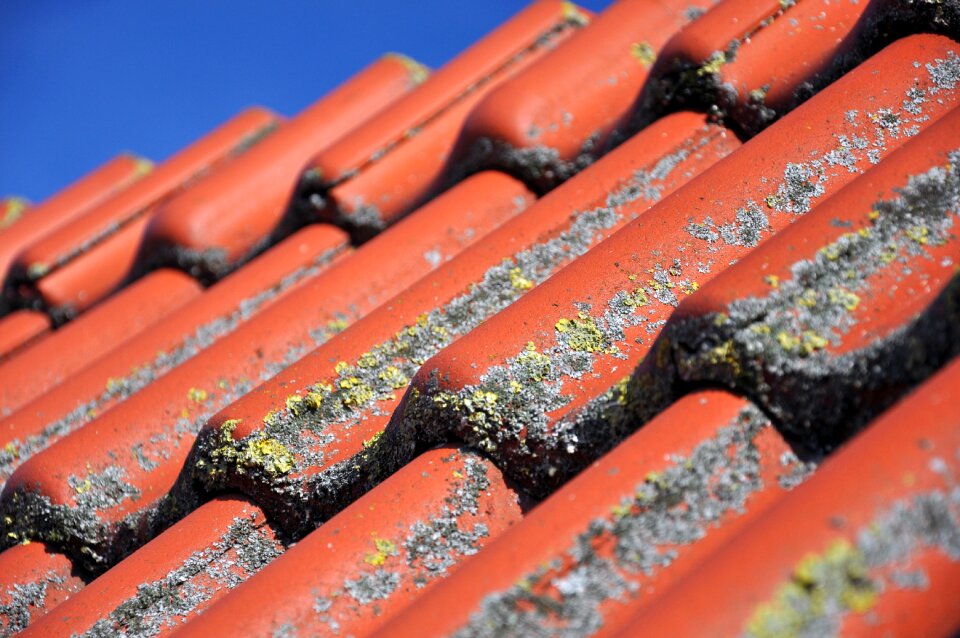 Pantile red diagonal