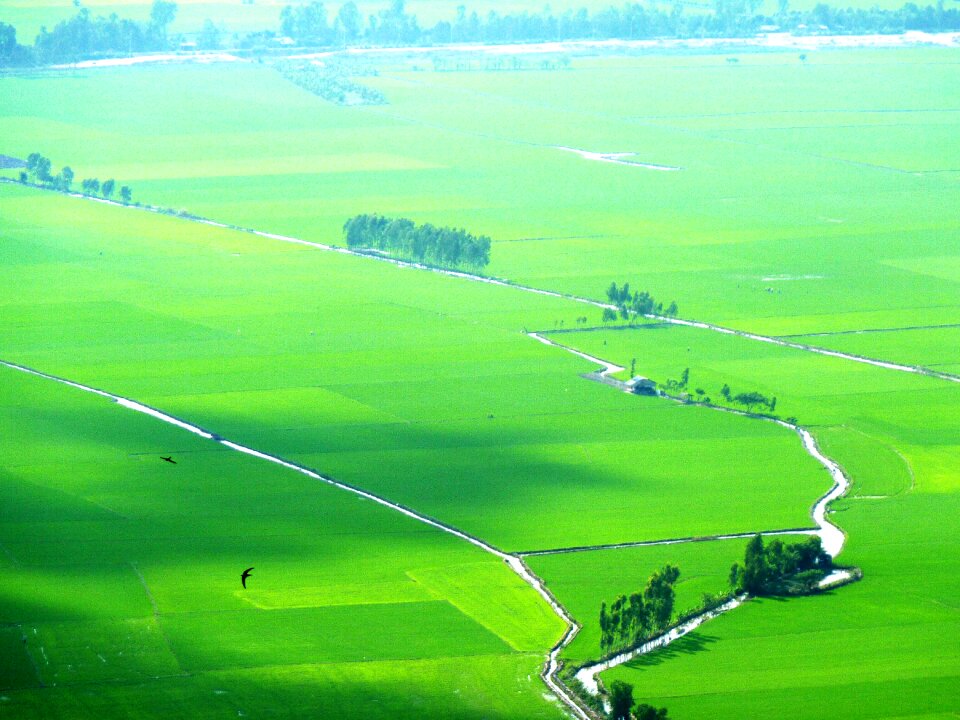 Vietnam landscape nature