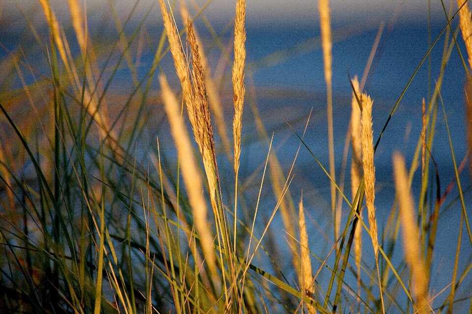 Coast sunset sunlight photo