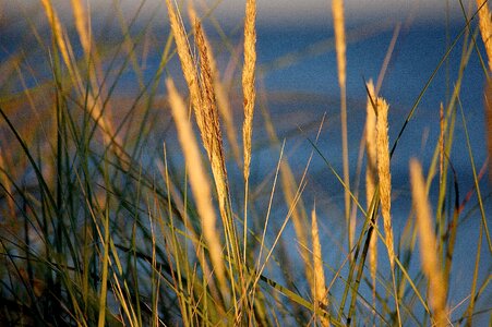 Coast sunset sunlight