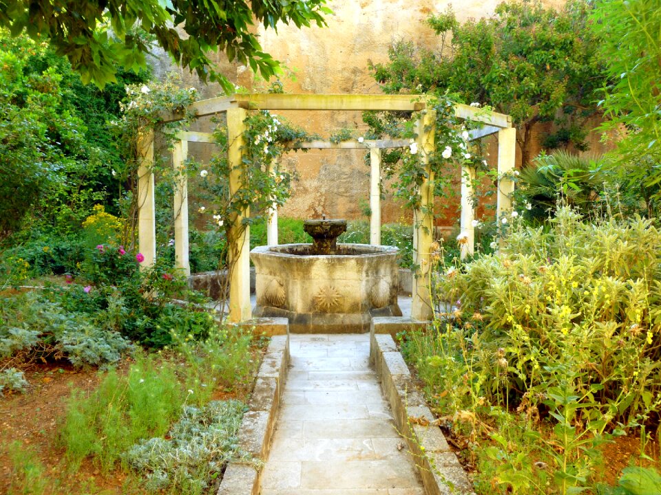 Plant away weathered