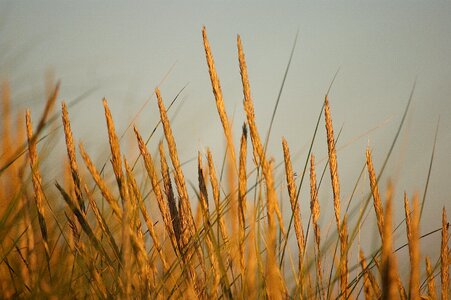 Coast sunset sunlight