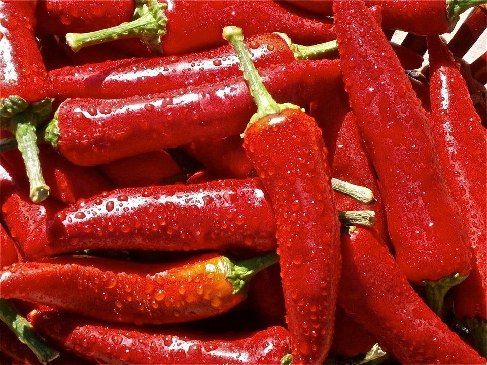 Vegetable vegetables nature
