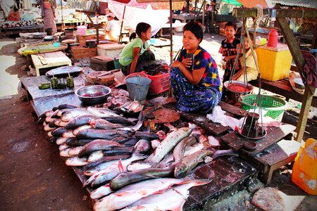 Market fish food