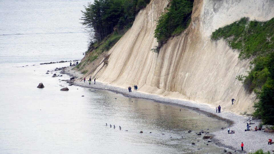 Rügen sassnitz trees