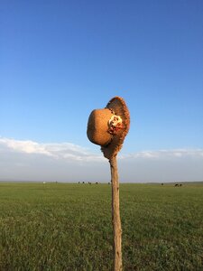 Straw hat prairie be quiet