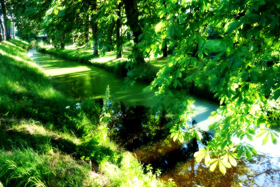 Landscape scenic foliage