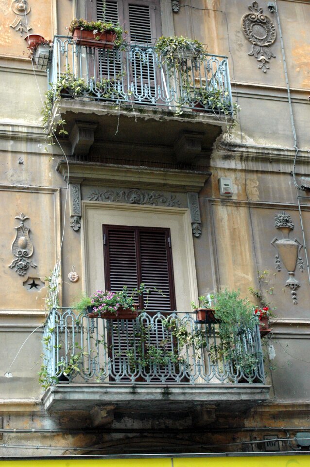 Flowers street old house