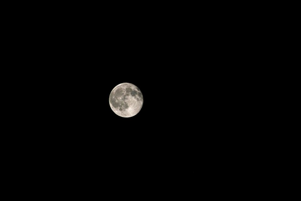 Sky and moon wolf black
