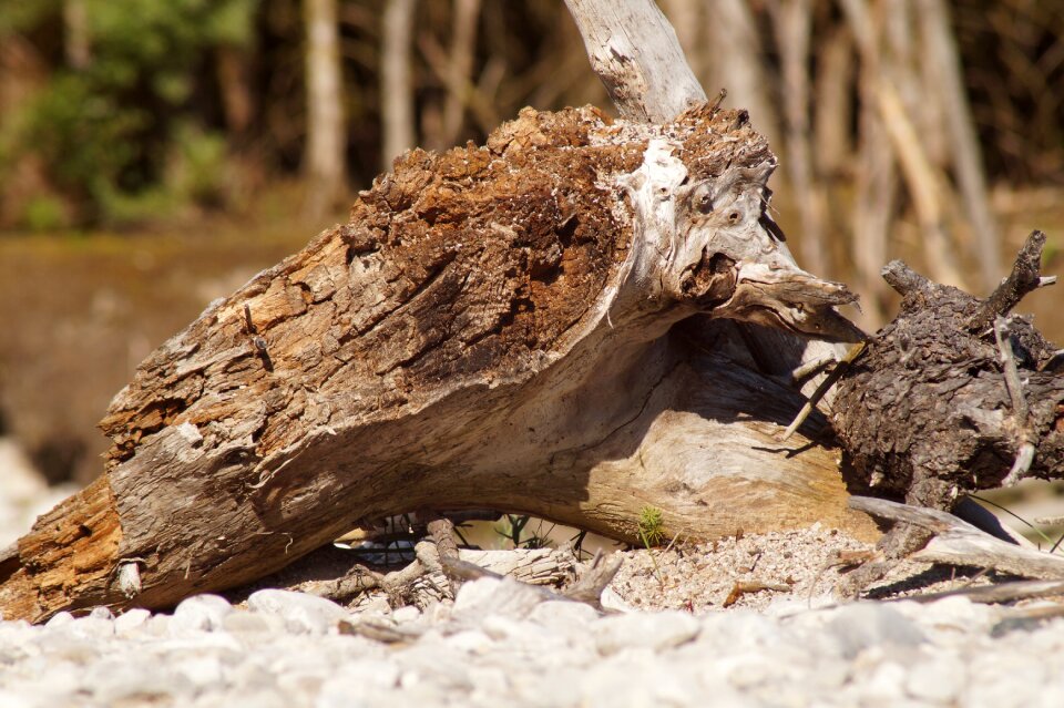 Mood mis shapen wood