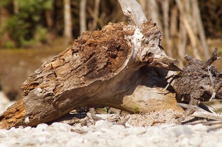 Mood mis shapen wood