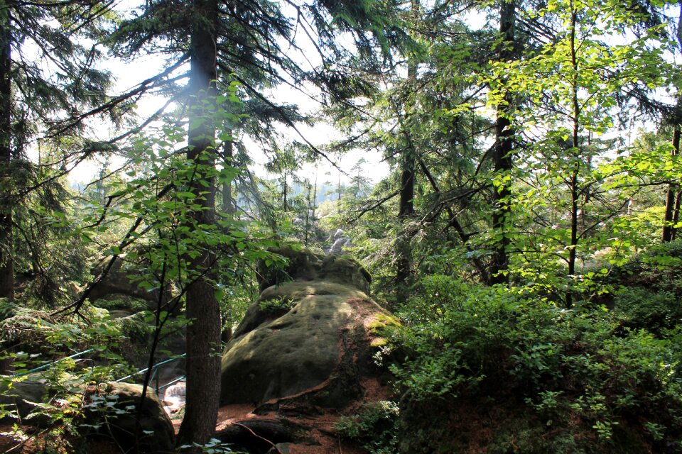 Kudowa zdrój the national park table mountains