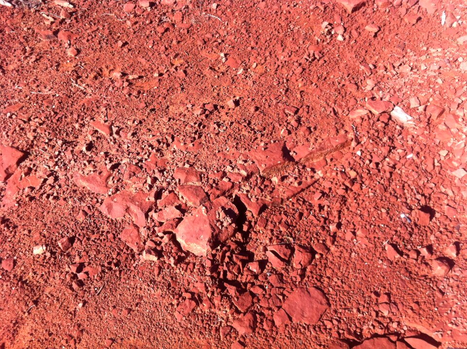 Desert red nature red desert