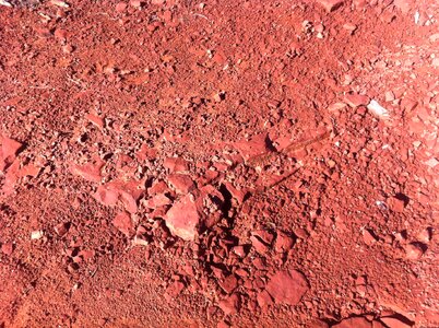 Desert red nature red desert