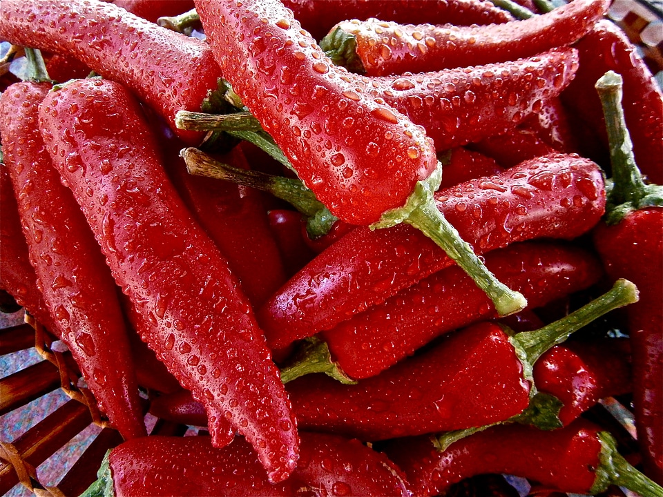 Vegetable vegetables nature