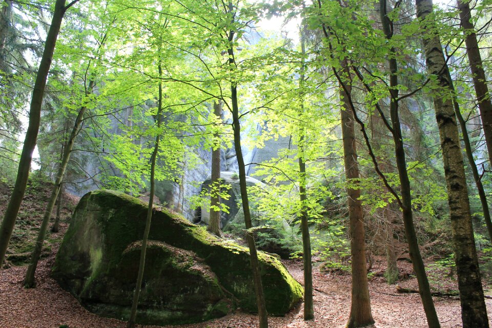 Rock city teplicke skaly 100 m high rock walls