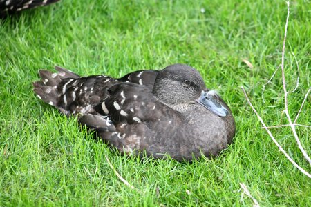 Zoo safari dvur kralove nad labem
