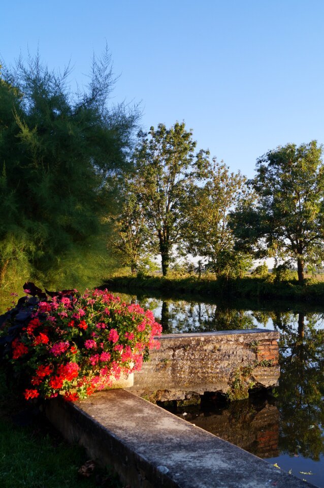 Water's edge nature landscape