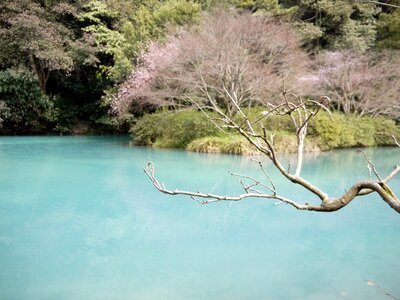 Lake hangzhou the scenery