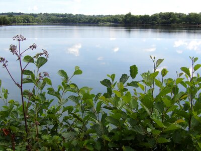 Based nature forest