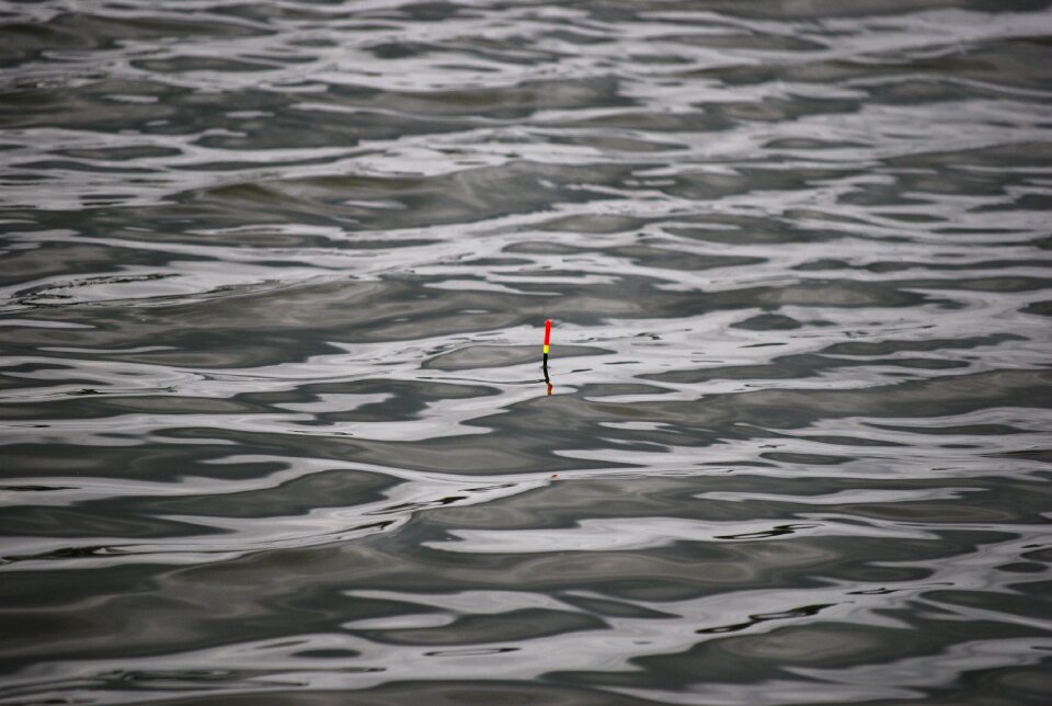 Fishing float nature