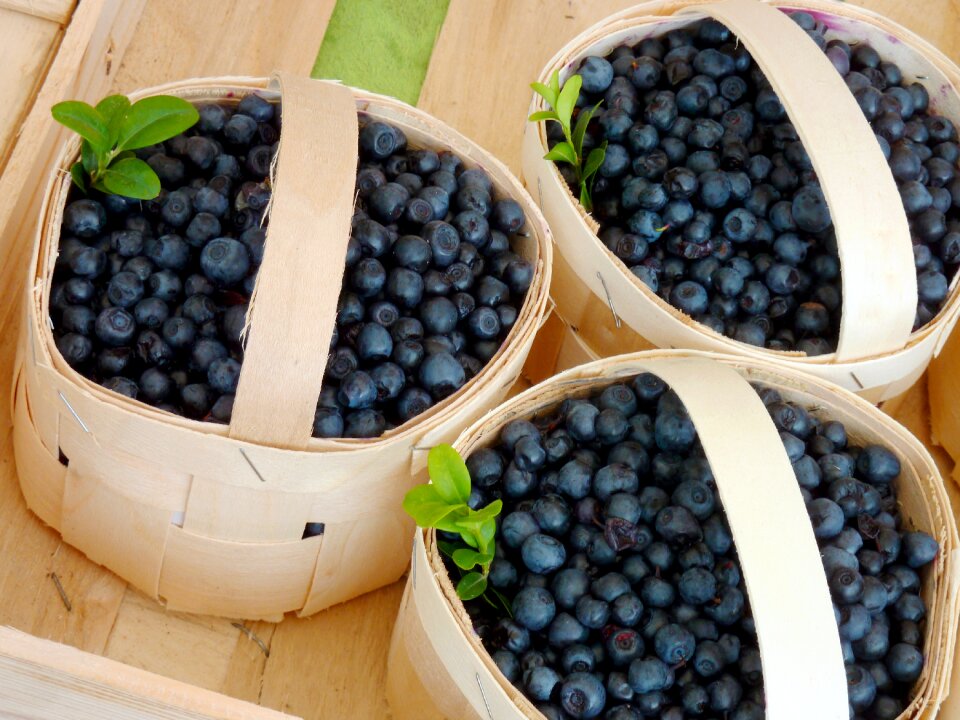 Fruits summer wild berry