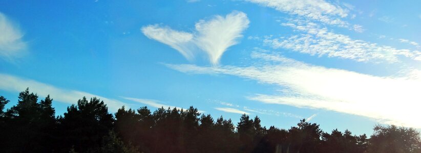 Angel heart shaped background photo