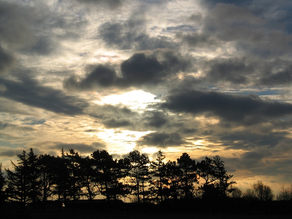 Clouds covered sky trees