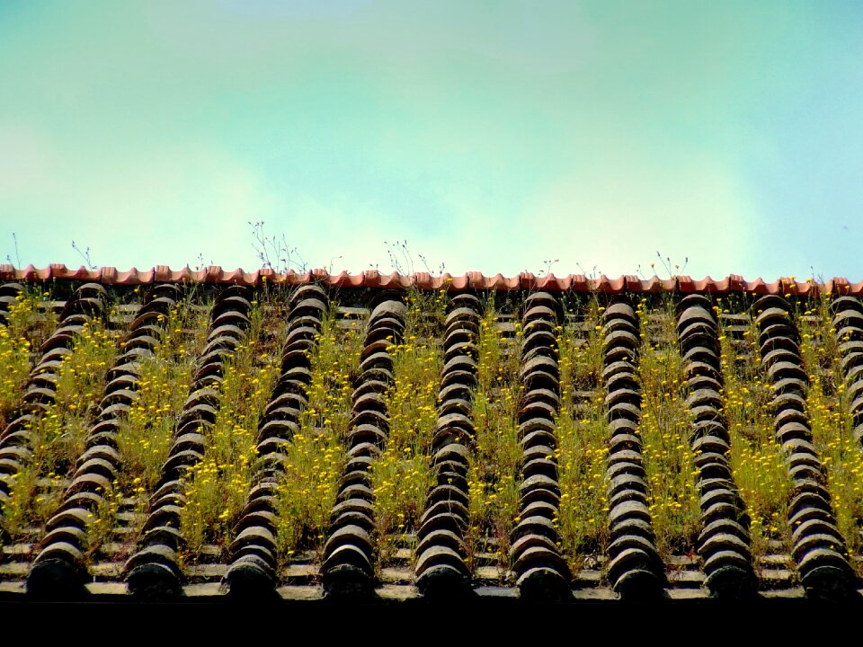 Roofing home construction