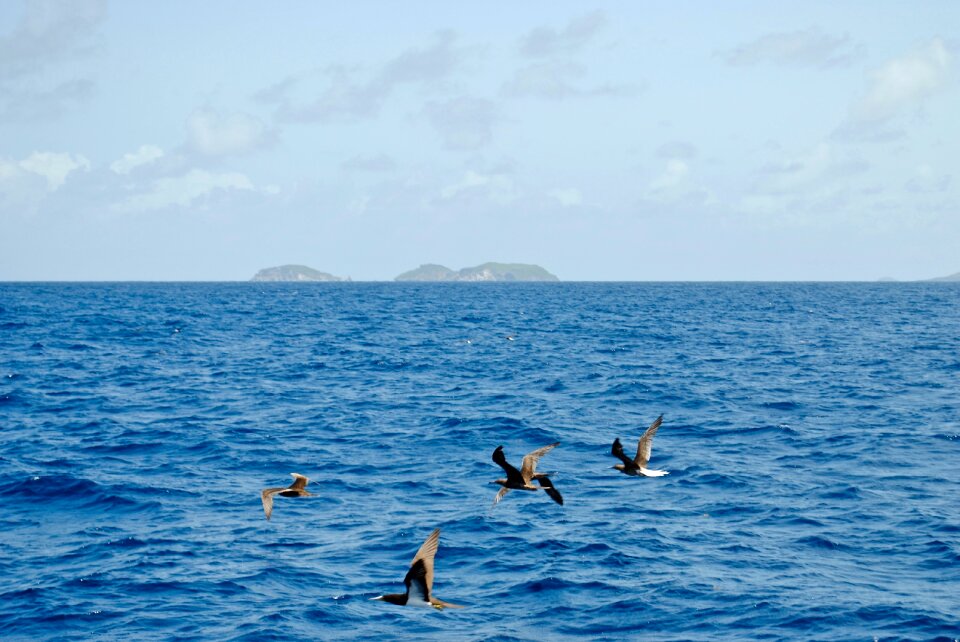 West indies sea tropical