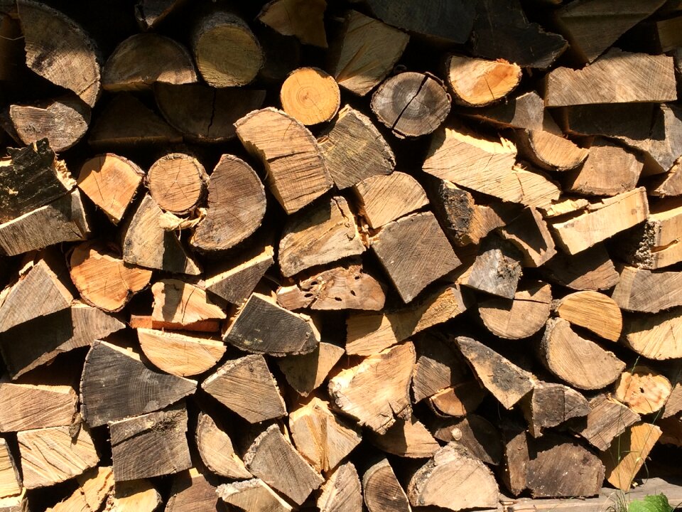 Growing stock firewood log