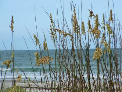 Landscape seascape surf