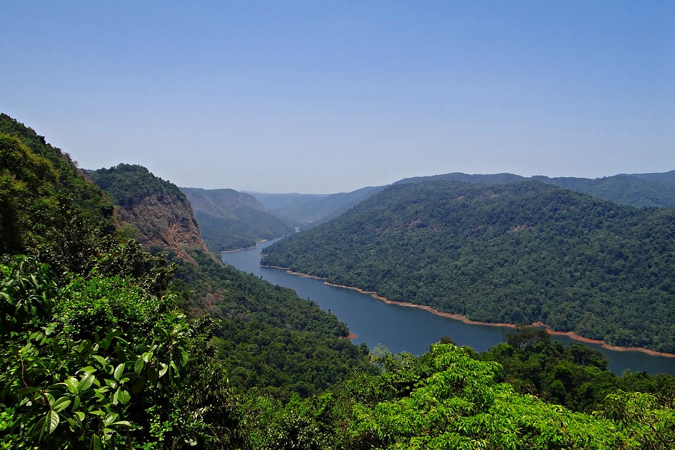 Mountains dense forest evergreen