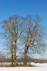Landscape nature cold
