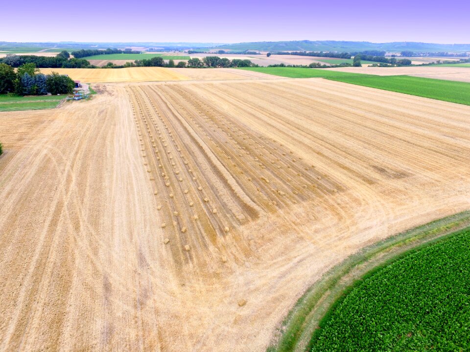 Agriculture bird's eye view flight