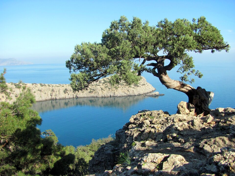 Summer black sea cliff