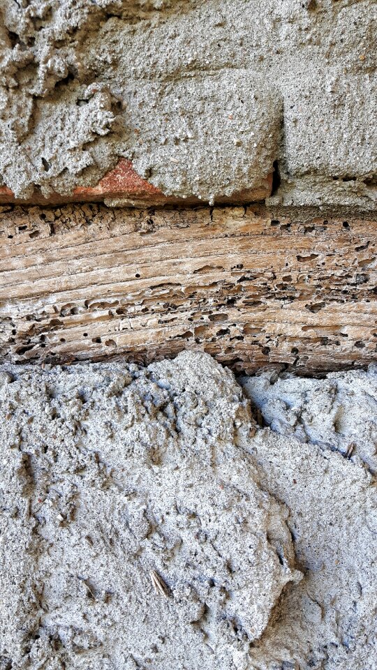 Plaster texture paint